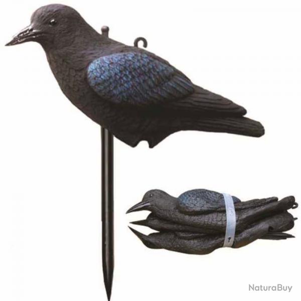 APPELANT CORBEAU SOUPLE ET PLIABLE SPORT PLAST