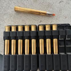 Munitions 9,3x74r ris hit 16,2g 250gr