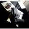 petites annonces chasse pêche : SIG SAUER P229 CO2