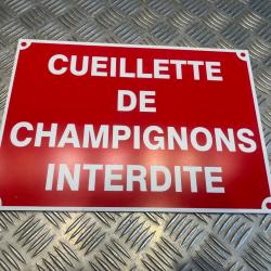 panneau cueillette de champignons interdite en aluminium 30x20 cm