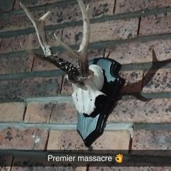 Taxidermie