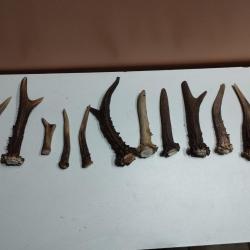 LOT 11 BOIS DE CHEVREUIL BROCARD