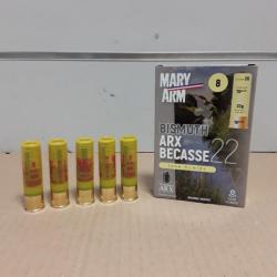 BOITE DE 10 CARTOUCHES BISMUTH ARX BECASSE 22 DE CHEZ MARY ARM CALIBRE 20