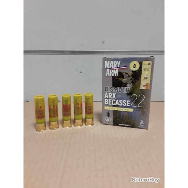 BOITE DE 10 CARTOUCHES BISMUTH ARX BECASSE 22 DE CHEZ MARY ARM CALIBRE 20