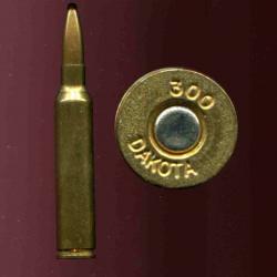 .300 DAKOTA