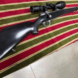 Carabine Parker Hale cal 243w
