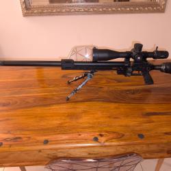 Carabine FX airguns Dynamic 700 calibre 5.5 (22) excellent état et full options.