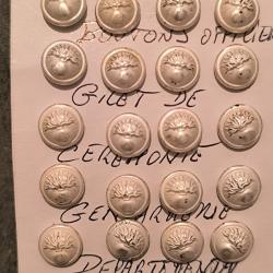 BOUTONS DE GILET DE GENDARMERIE