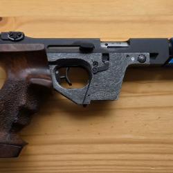 GSP Expert 22 LR