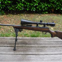Carabine CZ 22 Long Rifle