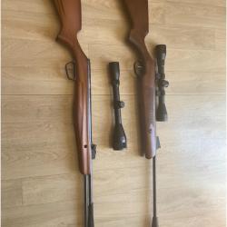 Lot de carabine à plombs