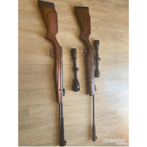Lot de carabine  plombs