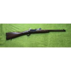 RARE MAGNIFIQUE CARABINE DE CAVALERIE PEABODY model 1882