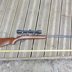 22lr Gaucher-Armes avec lunette & modérateur