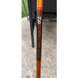 Canne Surf Daiwa Cast'izm