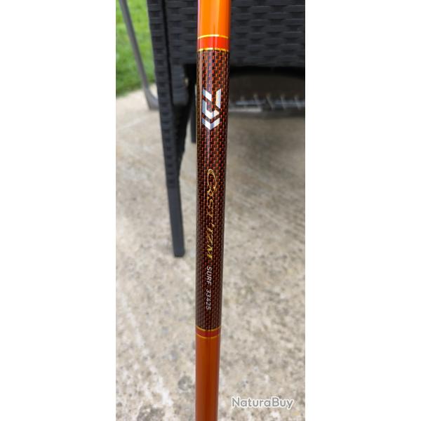 Canne Surf Daiwa Cast'izm