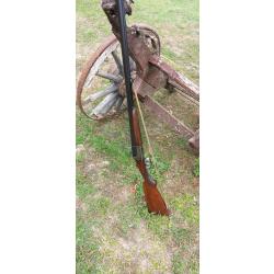 Fusil robuste 222