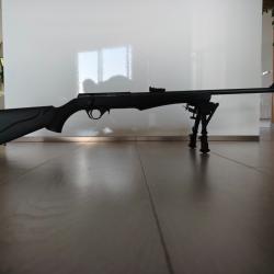 carabine rossi 8122