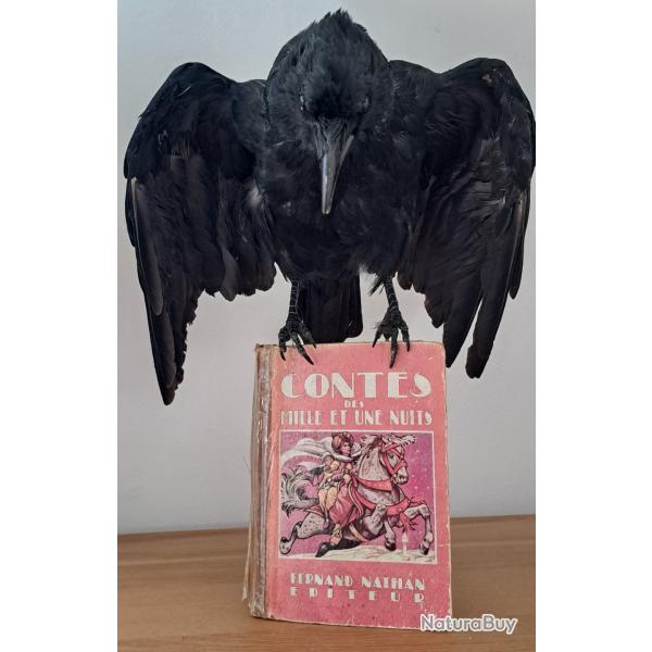 Corbeau sur livre
