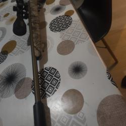 Carabine Ruger american 17hmr + lunettes Hawke vintage ir 4-12x50 + modérateur de son.