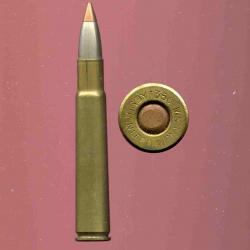 .350 RIGBY NITRO MAGNUM - marquage : RIGBY 350 MAGNUM NITRO - étui de 70.2 mm