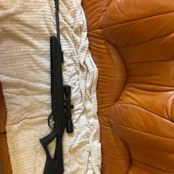 carabine Beeman Longhorn calibre 4.5 mm , 19,90 joules, acheté en janvier 2024