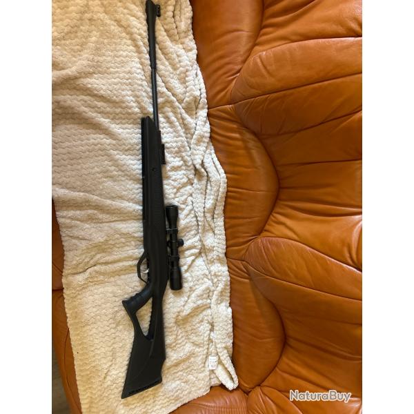 carabine Beeman Longhorn calibre 4.5 mm , 19,90 joules, achet en janvier 2024