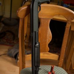 Fusil à pompe Franchi Flex