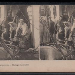CPA - Marine Militaire -SCÈNES DE BORD  - Pendant la traversée -Abatage du mouton N°3854