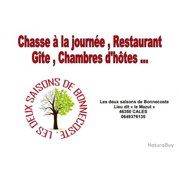 Journe de chasse petit gibier