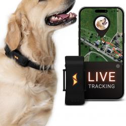 GPS pour Chien - Alarme de Fugue + Suivi en Direct - Mode d'économie de Batterie près de routeur