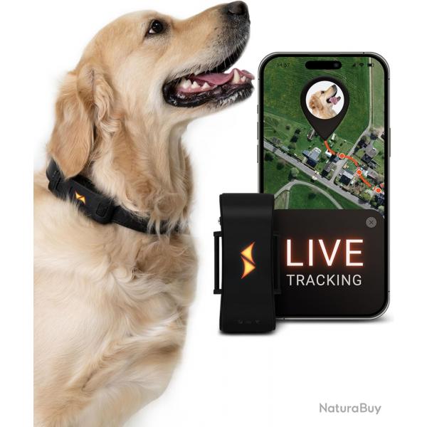 GPS pour Chien - Alarme de Fugue + Suivi en Direct - Mode d'conomie de Batterie prs de routeur