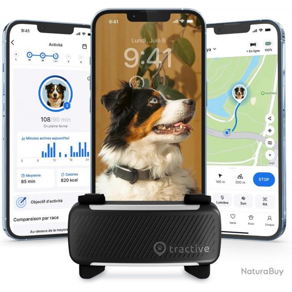 Collier GPS pour chien - Leader du march, Localisation en direct, Alertes anti-fugue