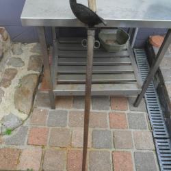 sabre de cavalerie WILKINSON  Anglais  année 1912 dans son jus