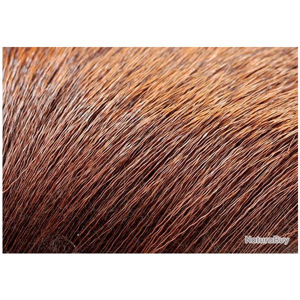 Elan marron 47