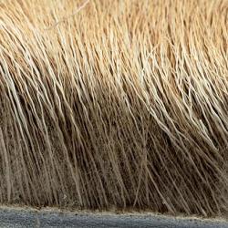 Elan naturel foncé 230