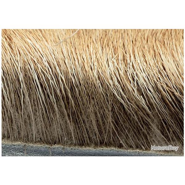 Elan naturel fonc 230