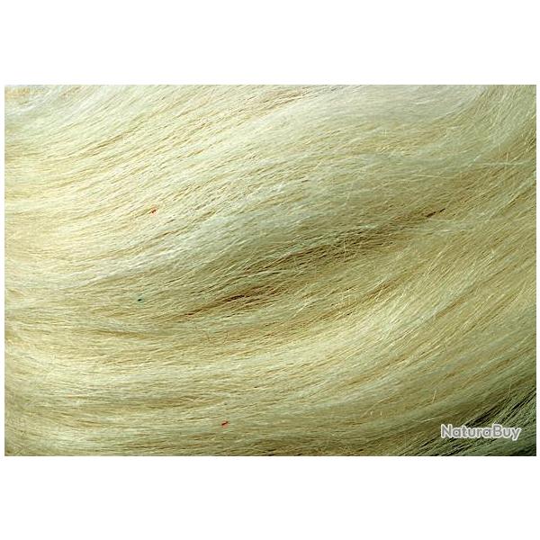 Chvre blanc