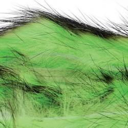 Zonker bicolore vert noir
