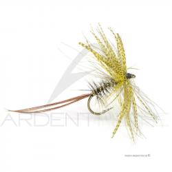 Mouche Florian Stéphan Mai M214 H10