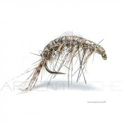 Mouche Florian Stéphan Gammare N22 H12