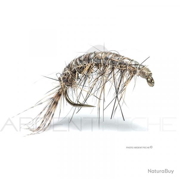 Mouche Florian Stphan Gammare N22 H12
