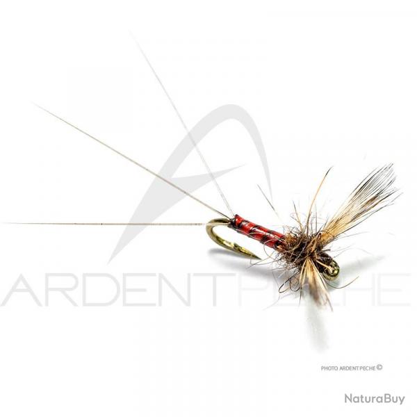 Mouche Florian Stphan Rougeatre NH4 H20