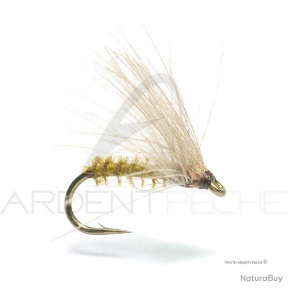 Mouche Florian Stphan C5 H16