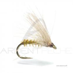 Mouche Florian Stéphan C5 H18