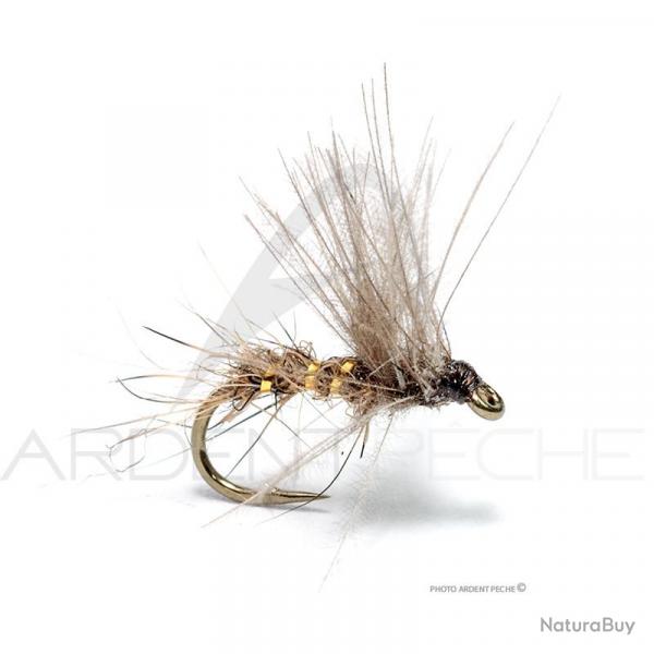 Mouche Florian Stphan C9 H16