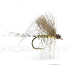 Mouche Florian Stéphan CIP maxaile H14