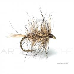Mouche Florian Stéphan N1 H12