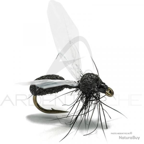 Mouche Florian Stphan Fourmi F4 H16