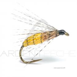 Mouche Florian Stéphan Palaretta bicolore H10
